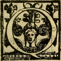 An illustration from Trattato di Christoforo Acosta Africano medico, & chirurgo della historia, natura, et virtu delle droghe medicinali, & altri semplici rarissimi, che vengono portati dalle Indie Orientali in Europa : con le figures delle piante ritratte, & disegnate dal viuo poste a' luoghi proprij ; nuouamente recato dalla Spagnuola nella nostra lingua .. (1585)