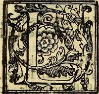 An illustration from Trattato di Christoforo Acosta Africano medico, & chirurgo della historia, natura, et virtu delle droghe medicinali, & altri semplici rarissimi, che vengono portati dalle Indie Orientali in Europa : con le figures delle piante ritratte, & disegnate dal viuo poste a' luoghi proprij ; nuouamente recato dalla Spagnuola nella nostra lingua .. (1585)