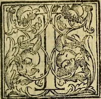 An illustration from Trattato di Christoforo Acosta Africano medico, & chirurgo della historia, natura, et virtu delle droghe medicinali, & altri semplici rarissimi, che vengono portati dalle Indie Orientali in Europa : con le figures delle piante ritratte, & disegnate dal viuo poste a' luoghi proprij ; nuouamente recato dalla Spagnuola nella nostra lingua .. (1585)