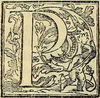 An illustration from Trattato di Christoforo Acosta Africano medico, & chirurgo della historia, natura, et virtu delle droghe medicinali, & altri semplici rarissimi, che vengono portati dalle Indie Orientali in Europa : con le figures delle piante ritratte, & disegnate dal viuo poste a' luoghi proprij ; nuouamente recato dalla Spagnuola nella nostra lingua .. (1585)