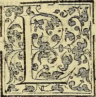 An illustration from Trattato di Christoforo Acosta Africano medico, & chirurgo della historia, natura, et virtu delle droghe medicinali, & altri semplici rarissimi, che vengono portati dalle Indie Orientali in Europa : con le figures delle piante ritratte, & disegnate dal viuo poste a' luoghi proprij ; nuouamente recato dalla Spagnuola nella nostra lingua .. (1585)