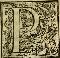 An illustration from Trattato di Christoforo Acosta Africano medico, & chirurgo della historia, natura, et virtu delle droghe medicinali, & altri semplici rarissimi, che vengono portati dalle Indie Orientali in Europa : con le figures delle piante ritratte, & disegnate dal viuo poste a' luoghi proprij ; nuouamente recato dalla Spagnuola nella nostra lingua .. (1585)