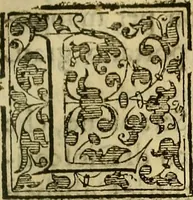 An illustration from Trattato di Christoforo Acosta Africano medico, & chirurgo della historia, natura, et virtu delle droghe medicinali, & altri semplici rarissimi, che vengono portati dalle Indie Orientali in Europa : con le figures delle piante ritratte, & disegnate dal viuo poste a' luoghi proprij ; nuouamente recato dalla Spagnuola nella nostra lingua .. (1585)