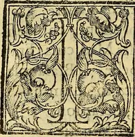 An illustration from Trattato di Christoforo Acosta Africano medico, & chirurgo della historia, natura, et virtu delle droghe medicinali, & altri semplici rarissimi, che vengono portati dalle Indie Orientali in Europa : con le figures delle piante ritratte, & disegnate dal viuo poste a' luoghi proprij ; nuouamente recato dalla Spagnuola nella nostra lingua .. (1585)