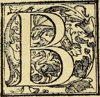 An illustration from Trattato di Christoforo Acosta Africano medico, & chirurgo della historia, natura, et virtu delle droghe medicinali, & altri semplici rarissimi, che vengono portati dalle Indie Orientali in Europa : con le figures delle piante ritratte, & disegnate dal viuo poste a' luoghi proprij ; nuouamente recato dalla Spagnuola nella nostra lingua .. (1585)