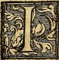 Picture 47 of 122 from Trattato di Christoforo Acosta Africano medico, & chirurgo della historia, natura, et virtu delle droghe medicinali, & altri semplici rarissimi, che vengono portati dalle Indie Orientali in Europa : con le figures delle piante ritratte, & disegnate dal viuo poste a' luoghi proprij ; nuouamente recato dalla Spagnuola nella nostra lingua .. (1585), leaf 179