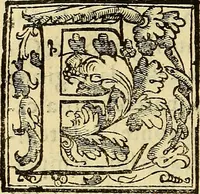 An illustration from Trattato di Christoforo Acosta Africano medico, & chirurgo della historia, natura, et virtu delle droghe medicinali, & altri semplici rarissimi, che vengono portati dalle Indie Orientali in Europa : con le figures delle piante ritratte, & disegnate dal viuo poste a' luoghi proprij ; nuouamente recato dalla Spagnuola nella nostra lingua .. (1585)
