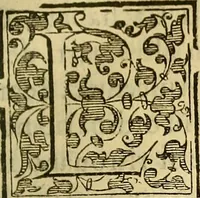 An illustration from Trattato di Christoforo Acosta Africano medico, & chirurgo della historia, natura, et virtu delle droghe medicinali, & altri semplici rarissimi, che vengono portati dalle Indie Orientali in Europa : con le figures delle piante ritratte, & disegnate dal viuo poste a' luoghi proprij ; nuouamente recato dalla Spagnuola nella nostra lingua .. (1585)