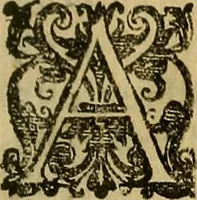 An illustration from Trattato di Christoforo Acosta Africano medico, & chirurgo della historia, natura, et virtu delle droghe medicinali, & altri semplici rarissimi, che vengono portati dalle Indie Orientali in Europa : con le figures delle piante ritratte, & disegnate dal viuo poste a' luoghi proprij ; nuouamente recato dalla Spagnuola nella nostra lingua .. (1585)