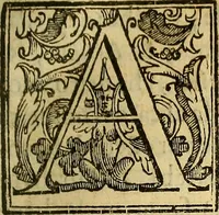 An illustration from Trattato di Christoforo Acosta Africano medico, & chirurgo della historia, natura, et virtu delle droghe medicinali, & altri semplici rarissimi, che vengono portati dalle Indie Orientali in Europa : con le figures delle piante ritratte, & disegnate dal viuo poste a' luoghi proprij ; nuouamente recato dalla Spagnuola nella nostra lingua .. (1585)