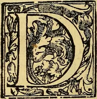 An illustration from Trattato di Christoforo Acosta Africano medico, & chirurgo della historia, natura, et virtu delle droghe medicinali, & altri semplici rarissimi, che vengono portati dalle Indie Orientali in Europa : con le figures delle piante ritratte, & disegnate dal viuo poste a' luoghi proprij ; nuouamente recato dalla Spagnuola nella nostra lingua .. (1585)