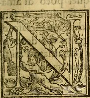 An illustration from Trattato di Christoforo Acosta Africano medico, & chirurgo della historia, natura, et virtu delle droghe medicinali, & altri semplici rarissimi, che vengono portati dalle Indie Orientali in Europa : con le figures delle piante ritratte, & disegnate dal viuo poste a' luoghi proprij ; nuouamente recato dalla Spagnuola nella nostra lingua .. (1585)