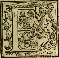 An illustration from Trattato di Christoforo Acosta Africano medico, & chirurgo della historia, natura, et virtu delle droghe medicinali, & altri semplici rarissimi, che vengono portati dalle Indie Orientali in Europa : con le figures delle piante ritratte, & disegnate dal viuo poste a' luoghi proprij ; nuouamente recato dalla Spagnuola nella nostra lingua .. (1585)