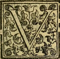 An illustration from Trattato di Christoforo Acosta Africano medico, & chirurgo della historia, natura, et virtu delle droghe medicinali, & altri semplici rarissimi, che vengono portati dalle Indie Orientali in Europa : con le figures delle piante ritratte, & disegnate dal viuo poste a' luoghi proprij ; nuouamente recato dalla Spagnuola nella nostra lingua .. (1585)