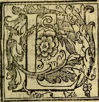 An illustration from Trattato di Christoforo Acosta Africano medico, & chirurgo della historia, natura, et virtu delle droghe medicinali, & altri semplici rarissimi, che vengono portati dalle Indie Orientali in Europa : con le figures delle piante ritratte, & disegnate dal viuo poste a' luoghi proprij ; nuouamente recato dalla Spagnuola nella nostra lingua .. (1585)