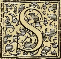 An illustration from Trattato di Christoforo Acosta Africano medico, & chirurgo della historia, natura, et virtu delle droghe medicinali, & altri semplici rarissimi, che vengono portati dalle Indie Orientali in Europa : con le figures delle piante ritratte, & disegnate dal viuo poste a' luoghi proprij ; nuouamente recato dalla Spagnuola nella nostra lingua .. (1585)