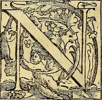 An illustration from Trattato di Christoforo Acosta Africano medico, & chirurgo della historia, natura, et virtu delle droghe medicinali, & altri semplici rarissimi, che vengono portati dalle Indie Orientali in Europa : con le figures delle piante ritratte, & disegnate dal viuo poste a' luoghi proprij ; nuouamente recato dalla Spagnuola nella nostra lingua .. (1585)