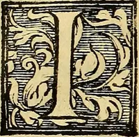 An illustration from Trattato di Christoforo Acosta Africano medico, & chirurgo della historia, natura, et virtu delle droghe medicinali, & altri semplici rarissimi, che vengono portati dalle Indie Orientali in Europa : con le figures delle piante ritratte, & disegnate dal viuo poste a' luoghi proprij ; nuouamente recato dalla Spagnuola nella nostra lingua .. (1585)