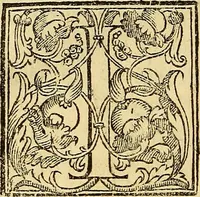 An illustration from Trattato di Christoforo Acosta Africano medico, & chirurgo della historia, natura, et virtu delle droghe medicinali, & altri semplici rarissimi, che vengono portati dalle Indie Orientali in Europa : con le figures delle piante ritratte, & disegnate dal viuo poste a' luoghi proprij ; nuouamente recato dalla Spagnuola nella nostra lingua .. (1585)