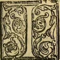 An illustration from Trattato di Christoforo Acosta Africano medico, & chirurgo della historia, natura, et virtu delle droghe medicinali, & altri semplici rarissimi, che vengono portati dalle Indie Orientali in Europa : con le figures delle piante ritratte, & disegnate dal viuo poste a' luoghi proprij ; nuouamente recato dalla Spagnuola nella nostra lingua .. (1585)