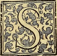Picture 71 of 122 from Trattato di Christoforo Acosta Africano medico, & chirurgo della historia, natura, et virtu delle droghe medicinali, & altri semplici rarissimi, che vengono portati dalle Indie Orientali in Europa : con le figures delle piante ritratte, & disegnate dal viuo poste a' luoghi proprij ; nuouamente recato dalla Spagnuola nella nostra lingua .. (1585), leaf 255