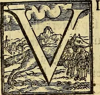 An illustration from Trattato di Christoforo Acosta Africano medico, & chirurgo della historia, natura, et virtu delle droghe medicinali, & altri semplici rarissimi, che vengono portati dalle Indie Orientali in Europa : con le figures delle piante ritratte, & disegnate dal viuo poste a' luoghi proprij ; nuouamente recato dalla Spagnuola nella nostra lingua .. (1585)