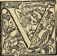 An illustration from Trattato di Christoforo Acosta Africano medico, & chirurgo della historia, natura, et virtu delle droghe medicinali, & altri semplici rarissimi, che vengono portati dalle Indie Orientali in Europa : con le figures delle piante ritratte, & disegnate dal viuo poste a' luoghi proprij ; nuouamente recato dalla Spagnuola nella nostra lingua .. (1585)