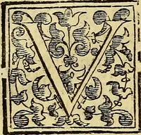 An illustration from Trattato di Christoforo Acosta Africano medico, & chirurgo della historia, natura, et virtu delle droghe medicinali, & altri semplici rarissimi, che vengono portati dalle Indie Orientali in Europa : con le figures delle piante ritratte, & disegnate dal viuo poste a' luoghi proprij ; nuouamente recato dalla Spagnuola nella nostra lingua .. (1585)