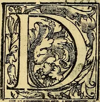 An illustration from Trattato di Christoforo Acosta Africano medico, & chirurgo della historia, natura, et virtu delle droghe medicinali, & altri semplici rarissimi, che vengono portati dalle Indie Orientali in Europa : con le figures delle piante ritratte, & disegnate dal viuo poste a' luoghi proprij ; nuouamente recato dalla Spagnuola nella nostra lingua .. (1585)