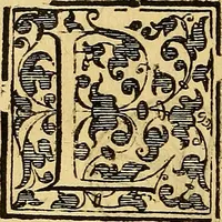 An illustration from Trattato di Christoforo Acosta Africano medico, & chirurgo della historia, natura, et virtu delle droghe medicinali, & altri semplici rarissimi, che vengono portati dalle Indie Orientali in Europa : con le figures delle piante ritratte, & disegnate dal viuo poste a' luoghi proprij ; nuouamente recato dalla Spagnuola nella nostra lingua .. (1585)