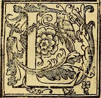An illustration from Trattato di Christoforo Acosta Africano medico, & chirurgo della historia, natura, et virtu delle droghe medicinali, & altri semplici rarissimi, che vengono portati dalle Indie Orientali in Europa : con le figures delle piante ritratte, & disegnate dal viuo poste a' luoghi proprij ; nuouamente recato dalla Spagnuola nella nostra lingua .. (1585)