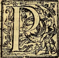 An illustration from Trattato di Christoforo Acosta Africano medico, & chirurgo della historia, natura, et virtu delle droghe medicinali, & altri semplici rarissimi, che vengono portati dalle Indie Orientali in Europa : con le figures delle piante ritratte, & disegnate dal viuo poste a' luoghi proprij ; nuouamente recato dalla Spagnuola nella nostra lingua .. (1585)