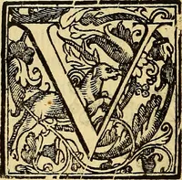 Picture 88 of 122 from Trattato di Christoforo Acosta Africano medico, & chirurgo della historia, natura, et virtu delle droghe medicinali, & altri semplici rarissimi, che vengono portati dalle Indie Orientali in Europa : con le figures delle piante ritratte, & disegnate dal viuo poste a' luoghi proprij ; nuouamente recato dalla Spagnuola nella nostra lingua .. (1585), leaf 293