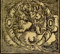 An illustration from Trattato di Christoforo Acosta Africano medico, & chirurgo della historia, natura, et virtu delle droghe medicinali, & altri semplici rarissimi, che vengono portati dalle Indie Orientali in Europa : con le figures delle piante ritratte, & disegnate dal viuo poste a' luoghi proprij ; nuouamente recato dalla Spagnuola nella nostra lingua .. (1585)