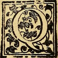 An illustration from Trattato di Christoforo Acosta Africano medico, & chirurgo della historia, natura, et virtu delle droghe medicinali, & altri semplici rarissimi, che vengono portati dalle Indie Orientali in Europa : con le figures delle piante ritratte, & disegnate dal viuo poste a' luoghi proprij ; nuouamente recato dalla Spagnuola nella nostra lingua .. (1585)