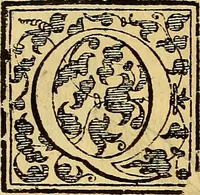 An illustration from Trattato di Christoforo Acosta Africano medico, & chirurgo della historia, natura, et virtu delle droghe medicinali, & altri semplici rarissimi, che vengono portati dalle Indie Orientali in Europa : con le figures delle piante ritratte, & disegnate dal viuo poste a' luoghi proprij ; nuouamente recato dalla Spagnuola nella nostra lingua .. (1585)