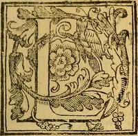 An illustration from Trattato di Christoforo Acosta Africano medico, & chirurgo della historia, natura, et virtu delle droghe medicinali, & altri semplici rarissimi, che vengono portati dalle Indie Orientali in Europa : con le figures delle piante ritratte, & disegnate dal viuo poste a' luoghi proprij ; nuouamente recato dalla Spagnuola nella nostra lingua .. (1585)