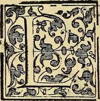 An illustration from Trattato di Christoforo Acosta Africano medico, & chirurgo della historia, natura, et virtu delle droghe medicinali, & altri semplici rarissimi, che vengono portati dalle Indie Orientali in Europa : con le figures delle piante ritratte, & disegnate dal viuo poste a' luoghi proprij ; nuouamente recato dalla Spagnuola nella nostra lingua .. (1585)