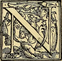 An illustration from Trattato di Christoforo Acosta Africano medico, & chirurgo della historia, natura, et virtu delle droghe medicinali, & altri semplici rarissimi, che vengono portati dalle Indie Orientali in Europa : con le figures delle piante ritratte, & disegnate dal viuo poste a' luoghi proprij ; nuouamente recato dalla Spagnuola nella nostra lingua .. (1585)