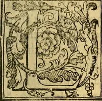 Picture 111 of 122 from Trattato di Christoforo Acosta Africano medico, & chirurgo della historia, natura, et virtu delle droghe medicinali, & altri semplici rarissimi, che vengono portati dalle Indie Orientali in Europa : con le figures delle piante ritratte, & disegnate dal viuo poste a' luoghi proprij ; nuouamente recato dalla Spagnuola nella nostra lingua .. (1585), leaf 334