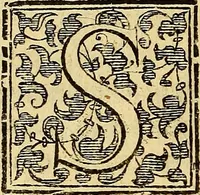 An illustration from Trattato di Christoforo Acosta Africano medico, & chirurgo della historia, natura, et virtu delle droghe medicinali, & altri semplici rarissimi, che vengono portati dalle Indie Orientali in Europa : con le figures delle piante ritratte, & disegnate dal viuo poste a' luoghi proprij ; nuouamente recato dalla Spagnuola nella nostra lingua .. (1585)