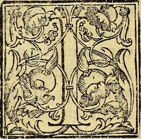 An illustration from Trattato di Christoforo Acosta Africano medico, & chirurgo della historia, natura, et virtu delle droghe medicinali, & altri semplici rarissimi, che vengono portati dalle Indie Orientali in Europa : con le figures delle piante ritratte, & disegnate dal viuo poste a' luoghi proprij ; nuouamente recato dalla Spagnuola nella nostra lingua .. (1585)