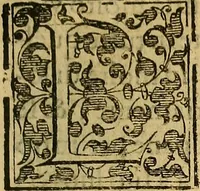 An illustration from Trattato di Christoforo Acosta Africano medico, & chirurgo della historia, natura, et virtu delle droghe medicinali, & altri semplici rarissimi, che vengono portati dalle Indie Orientali in Europa : con le figures delle piante ritratte, & disegnate dal viuo poste a' luoghi proprij ; nuouamente recato dalla Spagnuola nella nostra lingua .. (1585)