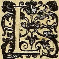An illustration from Trattato di Christoforo Acosta Africano medico, & chirurgo della historia, natura, et virtu delle droghe medicinali, & altri semplici rarissimi, che vengono portati dalle Indie Orientali in Europa : con le figures delle piante ritratte, & disegnate dal viuo poste a' luoghi proprij ; nuouamente recato dalla Spagnuola nella nostra lingua .. (1585)