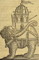 An illustration from Trattato di Christoforo Acosta Africano medico, & chirurgo della historia, natura, et virtu delle droghe medicinali, & altri semplici rarissimi, che vengono portati dalle Indie Orientali in Europa : con le figures delle piante ritratte, & disegnate dal viuo poste a' luoghi proprij ; nuouamente recato dalla Spagnuola nella nostra lingua .. (1585)