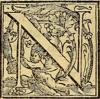 An illustration from Trattato di Christoforo Acosta Africano medico, & chirurgo della historia, natura, et virtu delle droghe medicinali, & altri semplici rarissimi, che vengono portati dalle Indie Orientali in Europa : con le figures delle piante ritratte, & disegnate dal viuo poste a' luoghi proprij ; nuouamente recato dalla Spagnuola nella nostra lingua .. (1585)