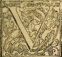 An illustration from Trattato di Christoforo Acosta Africano medico, & chirurgo della historia, natura, et virtu delle droghe medicinali, & altri semplici rarissimi, che vengono portati dalle Indie Orientali in Europa : con le figures delle piante ritratte, & disegnate dal viuo poste a' luoghi proprij ; nuouamente recato dalla Spagnuola nella nostra lingua .. (1585)