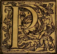 An illustration from Trattato di Christoforo Acosta Africano medico, & chirurgo della historia, natura, et virtu delle droghe medicinali, & altri semplici rarissimi, che vengono portati dalle Indie Orientali in Europa : con le figures delle piante ritratte, & disegnate dal viuo poste a' luoghi proprij ; nuouamente recato dalla Spagnuola nella nostra lingua .. (1585)