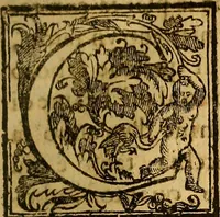 An illustration from Trattato di Christoforo Acosta Africano medico, & chirurgo della historia, natura, et virtu delle droghe medicinali, & altri semplici rarissimi, che vengono portati dalle Indie Orientali in Europa : con le figures delle piante ritratte, & disegnate dal viuo poste a' luoghi proprij ; nuouamente recato dalla Spagnuola nella nostra lingua .. (1585)