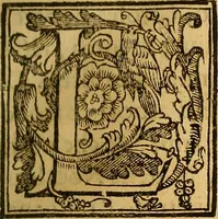 An illustration from Trattato di Christoforo Acosta Africano medico, & chirurgo della historia, natura, et virtu delle droghe medicinali, & altri semplici rarissimi, che vengono portati dalle Indie Orientali in Europa : con le figures delle piante ritratte, & disegnate dal viuo poste a' luoghi proprij ; nuouamente recato dalla Spagnuola nella nostra lingua .. (1585)